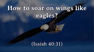 For us, this is more than a promise of strength and renewal. 046 How To Soar On Wings Like Eagles Isaiah 40 31 Patrick Jacob Youtube