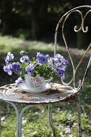 Ana Rosa Beautiful Flowers Pansies My Secret Garden
