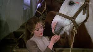 Drei nüsse für aschenbrödel) ist ein märchenfilm nach dem gleichnamigen märchen von božena němcová sowie grimms aschenputtel in der version von 1819. Drei Haselnusse Fur Aschenbrodel Das Pferd Nikolaus In Aschenbrodel Gab Es Doppelt Facebook