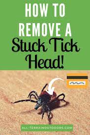 Pin On Deer Hunting Guides