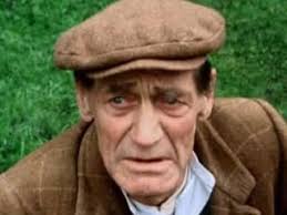 Teddy Turner as Mrs Pumphrey's ' Jack of all trades ' Hodgekin.