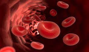 Dickes Blut Ursachen Symptome Und Behandlung Heilpraxis