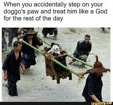 When You Accidentally Step On Your Doggo S Paw And Treat Him Like A God For The Rest Of The Day Ifunny Funny Animal Memes Funny Pictures Funny Monday Pictures