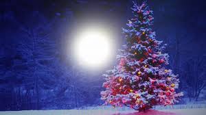 Artificial christmas trees, natural christmas trees, fiber optic christmas trees, snow tipped christmas trees. Christmas Tree Shop Startseite Facebook