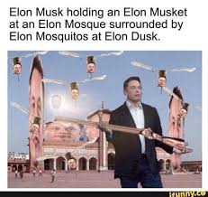 Elon Musk Holding An Elon Musket At An Elon Mosque Surrounded By Elon Mosquitos At Elon Dusk Ifunny Stupid Funny Memes Funny Jokes Funny Relatable Memes
