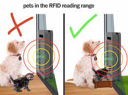 Your dog's microchip is given a number, which will show up whenever your dog is scanned. Rfid Chips Function And Differences Between Collar Tags And Implanted Microchips Petwalk Dialog Petwalk Turen Fur Tiere