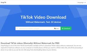 In today's digital world, you have all of the information right the. Tiktok Downloader Download Video Tiktok Without Watermark Snaptik
