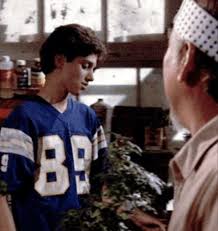 Daniel Larusso The Fraud Geekade