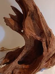 Image result for Light Driftwood 1993 Shadow
