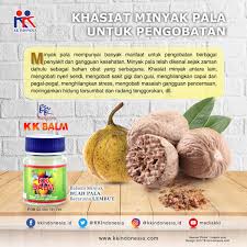 Buah atau biji pala 18 manfaat buah atau biji pala kandungan. Balsemminyakbuahpala Hashtag On Twitter