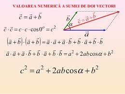 Elementele multimii v se numesc vectori. Vectori