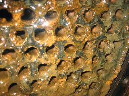 Dịch vụ tẩy cặn lò hơi