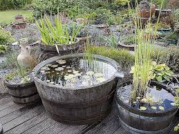 Creer Un Mini Bassin Jardin D Eau Bassin De Jardin Jardin Miniature