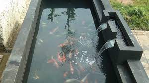 Agar kolam ikan tidak bocor. Cara Memilih Cat Dinding Kolam Ikan Koi Yang Baik Ikankoi Org