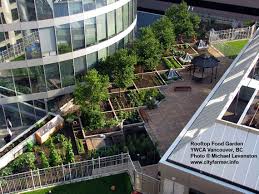 Landscape Design Schools Ideas About How To Renovations Outdoor Home For Your Inspiration 1 Jpg 1 139 855 Pixels Urban Garden Rooftop Garden Landscape Design