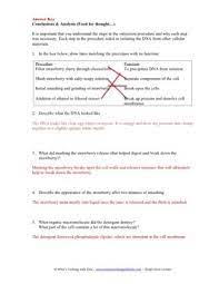 Strawberry dna extraction this dna extraction activity has been designed for a class of 32 students working in pairs. Strawberry Dna Extraction Lab By What S Cooking With Kids Tpt