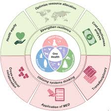 Image result for Emerging Infection