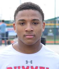 Pig Cage, Nicholls, Safety