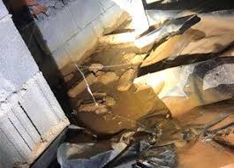 Since 1982, we've provided recommendations for insect and rodent control using professional pest can't find the answer to your pest control question? Pest Control Greenville Sc Pest Management Spartanburg Taylors Greer Sc