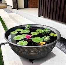 mini pond inspo おしゃれまとめの人気アイデア pinterest マックス マックス 2021 睡蓮 睡蓮鉢 パレット ガーデニング