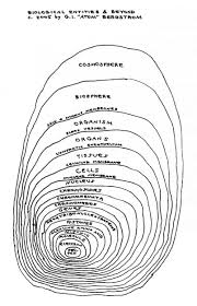 Atom To Biosphere Chart Www Bedowntowndaytona Com