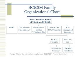 2001 Financial Examination Blue Cross Blue Shield Of