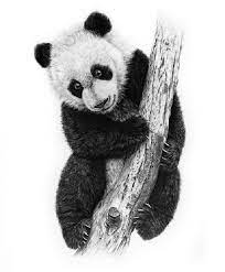 Pin On Animals Drawings