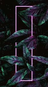 You will have a wallpaper that suits your needs and. Beautiful Sunset Miami View Iphone Wallpaper Iphone Wallpapers Iphone Wallpapers Nature Iphone Wallpaper Neon Light Wallpaper Neon Wallpaper