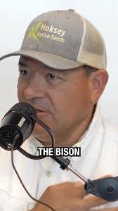 Bison bulls becoming alphas. 🦬, 🎙️Tune in to episode 157 with special  guest @taylorkeen7