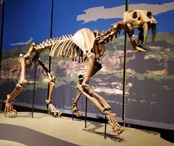 What'S Your Saber-Tooth Tiger? - Government Executive