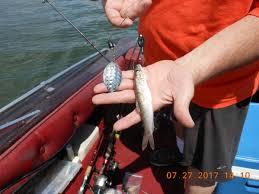 It casts incredible distances, allowing you to put it anywhere you want. Bwca Favorite Weedless Pike Smallie Lure Boundary Waters Fishing Forum