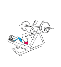 Pin On All Butt Glute Exercises