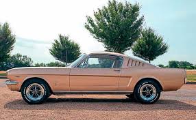 Image result for Prairie Bronze 1965 Mustang