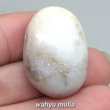 Entah itu ya atw tidak, memang masih menjadi fenomena tuh. Batu Mani Gajah Putih Susu Ukuran Besar Asli Kode 1093 Wahyu Mulia