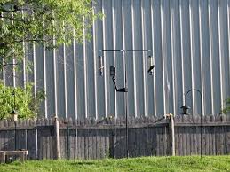 Bird Feeder Pole Home Depot Homemade Bird Feeding Pole System Bird Feeders Tallest Bird Make A Bird Feeder