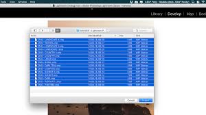 To remind you download the sample files from the tutorial page and then click the add photos button in lightroom. Lightroom Presets Installieren Ohne Computer Und Adobe Abo