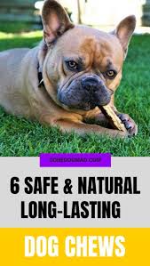 Begin by selecting a crate that's large enough for your dog to grow into, then put some treats inside and let your puppy explore it on their. Pin On French Bulldog Training Tips