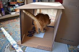 Cardboard Gingerbread Cat House In 2020 Cat House Cardboard Cats