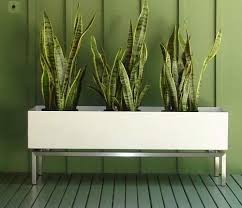 Modern Planter Box Indoor Planter Box Planter Box Designs Indoor Planters