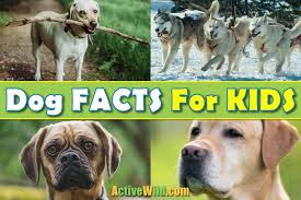 He created the schutzhund trial a breed test and any dog that failed the trial was prohibited from breeding. Dog Facts For Kids Learn Amazing Facts About Dogs For Kids Adults