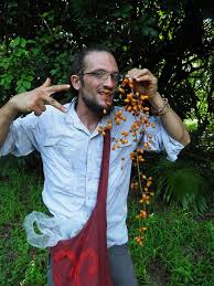 Image result for Pseudospondias