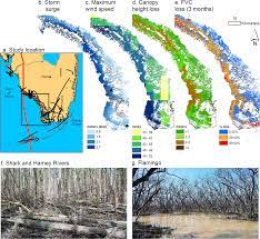 Here is an overview that looks at what exactly a credit report is, who the three major companies are that. Storm Surge And Ponding Explain Mangrove Dieback In Southwest Florida Following Hurricane Irma Nature Communications