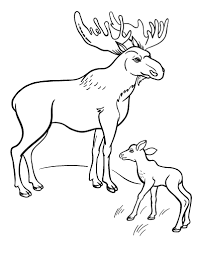 Free Moose Coloring Page Hayvanlar
