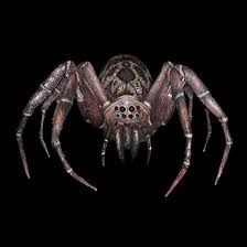 Giant Spider Animated