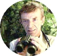 Entrance to Ted Ulrich's sentential calculi pages