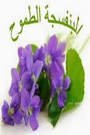 We did not find results for: Ø§Ù„Ø¨Ù†ÙØ³Ø¬Ø© Ø§Ù„Ø·Ù…ÙˆØ­ Ù…ÙƒØªØ¨Ø© Ø§Ù„Ù…Ù†Ø§Ø±Ø© Ø§Ù„Ø¹Ø§Ù„Ù…ÙŠØ© Ø¨Ù…ÙˆÙ‚Ø¹Ù‡Ø§ Arabcast Org