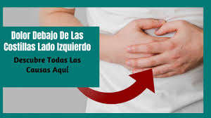 El dolor de costillas es una molestia imposible de evadir, puede inclusive confundirse o ser señal de un infarto, inmovilizarte o dejarte sin poder respirar. Porque Siento Dolor Debajo De Las Costillas Lado Izquierdo Dolor En Las Costillas Izquierdas Youtube