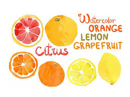 Searching the web for free watercolor vector art? Free Watercolors Backgrounds Patterns Objects Logos Graphicmama