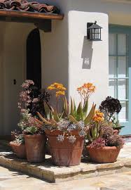 Pin By Jenni Mappin On Outdoor Space In 2020 Mediterranean Landscaping Succulent Landscape Design Mediterranean Garden