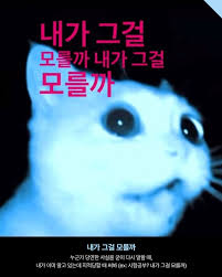 요즘 유행하는 밈, 신조어들 띠라가기 어려우시죠? 그래서 에디터가 깔쌈하게 요즘 말들을 싹 다 모아왔습니다 😎 여기저기 써먹기 좋은  밈들. 이거 참고하면 최소 알파세대랑 소통 가능 ⭐ - 케케크롱 - 야르 - 아자스 -